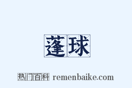 蓬球是什么意思的图片